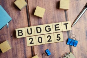 Read more about the article Budget 2025: A Progressive Roadmap For Economic Growth