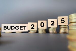 Read more about the article Budget 2025: Accovet Insight – First Impressions